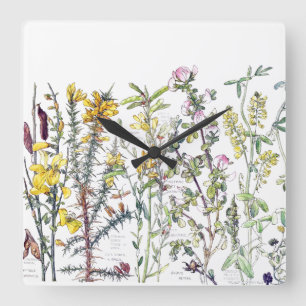 Fleurs Fleurs sauvages botaniques Horloge murale d