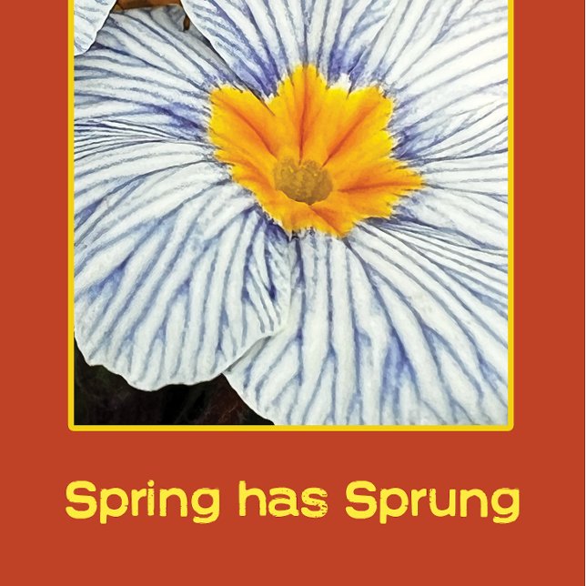 Fleurs florales printanières (Créateur téléchargé)