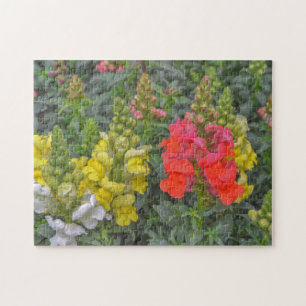 Fleurs florales Puzzle Snapdragon Puzzle coloré