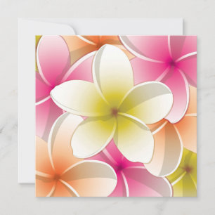 Fleurs frangipani/Plumeria