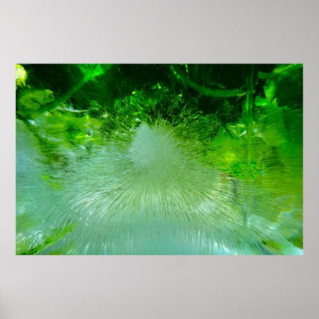 Fleurs glacées, Poster (Devant)