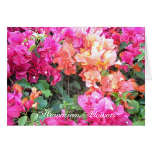 Fleurs hawaïennes