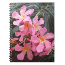 Fleurs Hawaiiennes roses vives Photo Carnet Spiral