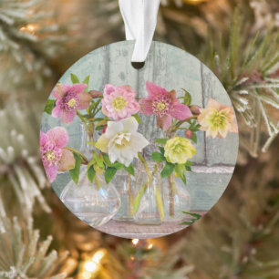 Fleurs Hellebores dans Vases