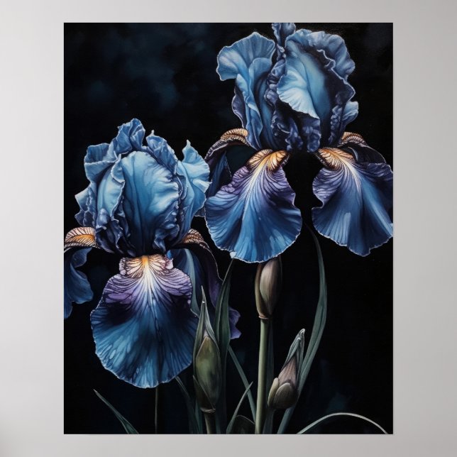 Fleurs Iris Bleues Poster d'impression (Devant)