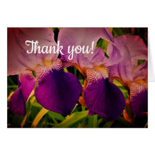 Fleurs Iris Violet Carte de remerciements photo