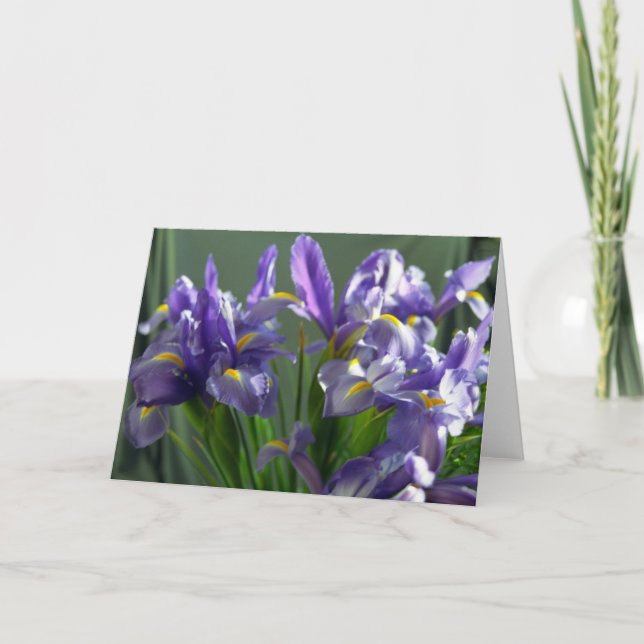 Fleurs Iris Violet Carte de voeux photo (Devant)