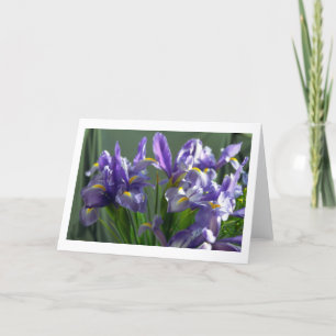 Fleurs Iris Violet Carte de voeux photo
