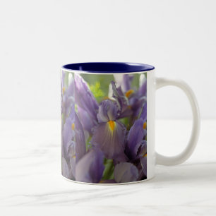 Fleurs Iris Violettes Photo Art Café Mugs
