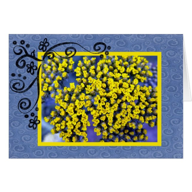 Fleurs jaunes (Devant Horizontal)