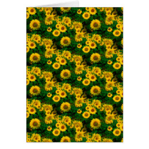 fleurs jaunes