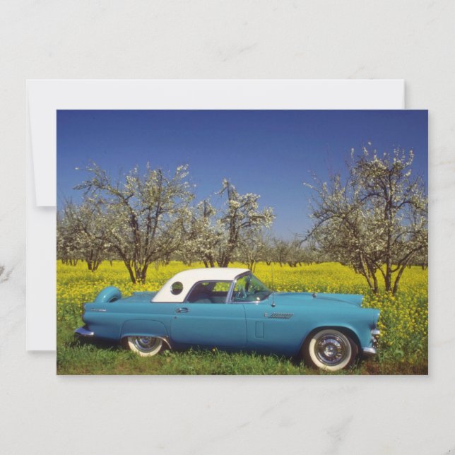 fleurs jaunes 57 T-Bird (Devant)
