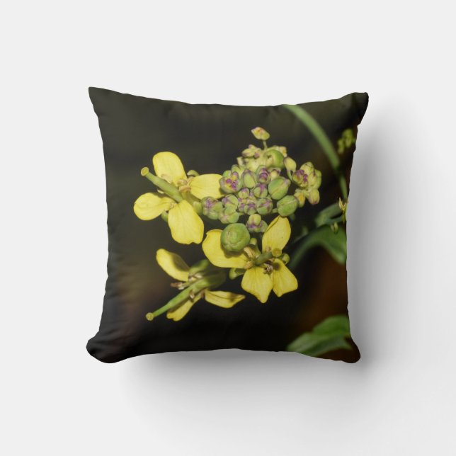 Fleurs jaunes sur un coussin jeté (Recto)