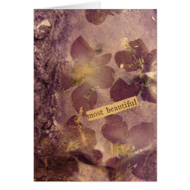 Fleurs les plus belles (Devant)