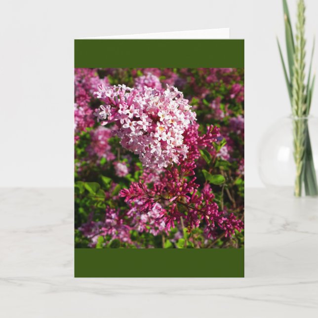 Fleurs - Lilacs dans la carte du jardin (Devant)