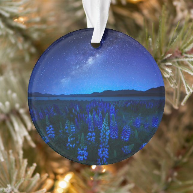 Fleurs | Lupines fleurissant à Night Lake Tekapo (Arbre)