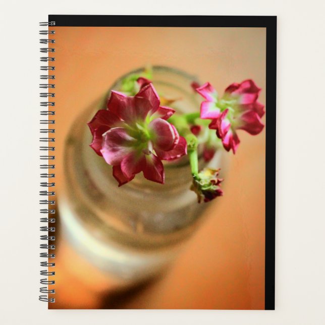Fleurs Magenta (Devant)