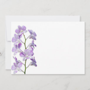 Fleurs mauves douces