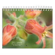 Fleurs murales du calendrier 2024 en Macro-Photogr