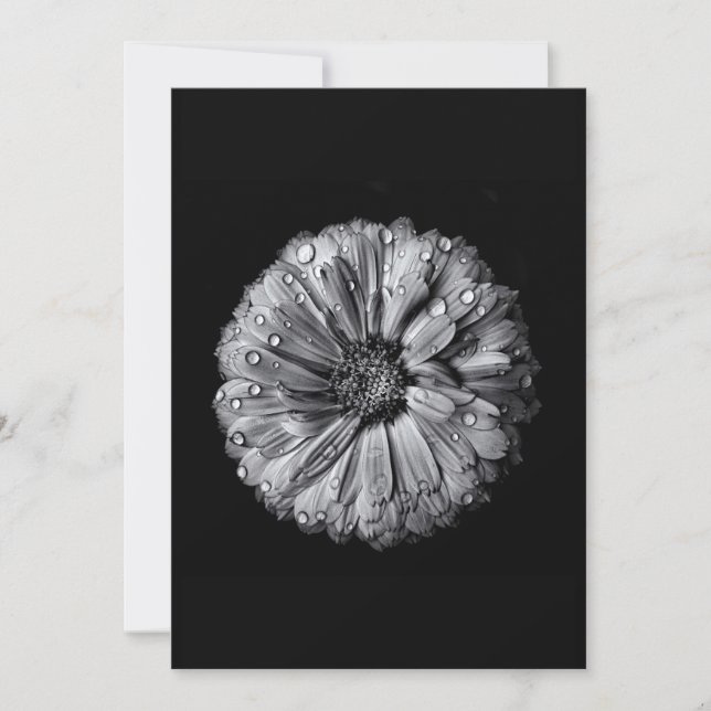 Fleurs Noires Et Blanches 10 (Devant)