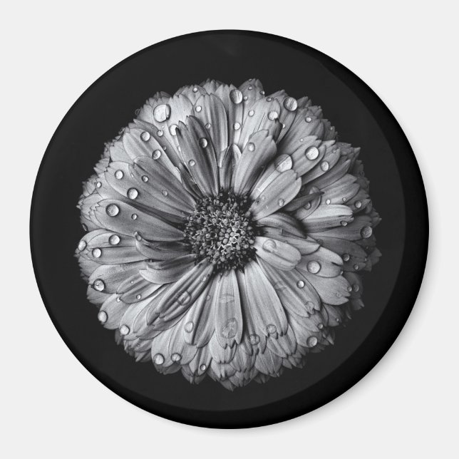 Fleurs Noires Et Blanches 10 Aimants (Devant)