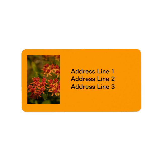 Fleurs orange dans le Étiquette Smoky Mountains (Devant)