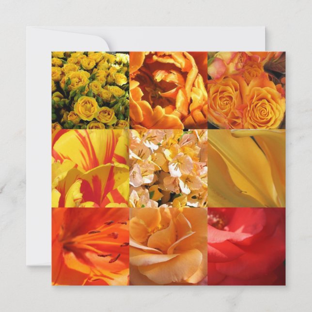 Fleurs orange et jaune (Devant)