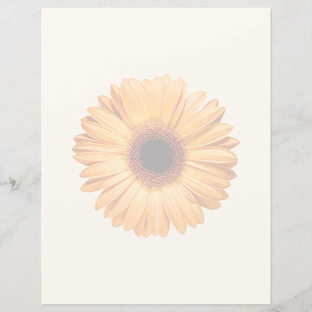 Fleurs | Orange Gerbera (Devant)