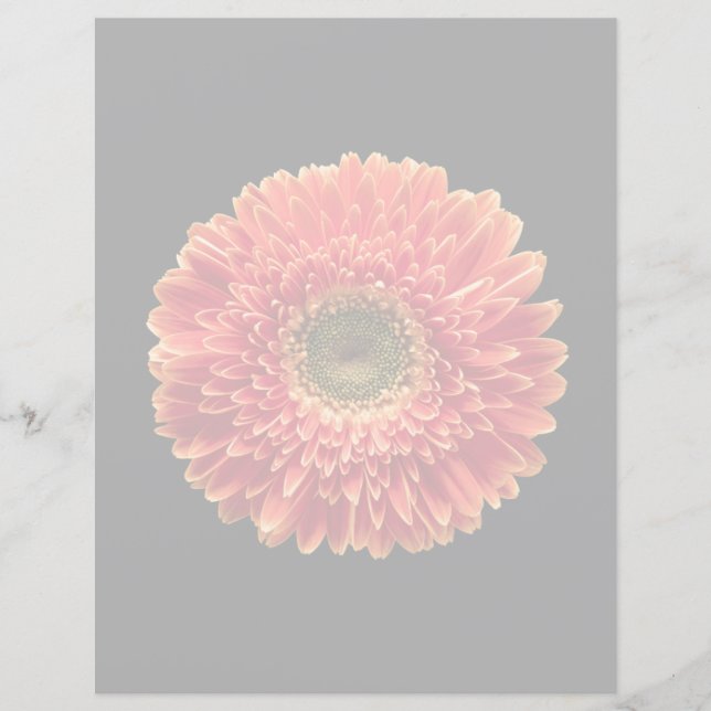 Fleurs | Orange Gerbera Daisy (Devant)