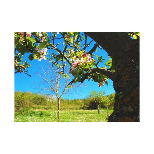 Fleurs - panoramas toile