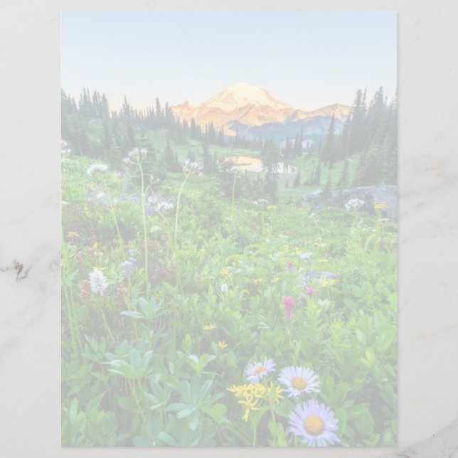 Fleurs | Parc national du Mont Rainier (Devant)