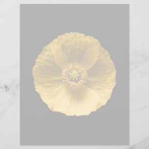 Fleurs Pavot jaune