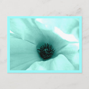 Fleurs peintes par carte postale 9