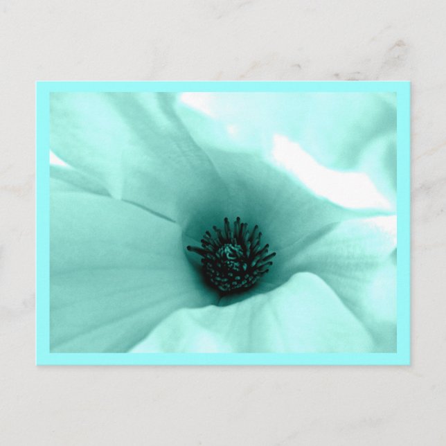 Fleurs peintes par carte postale 9 (Devant)