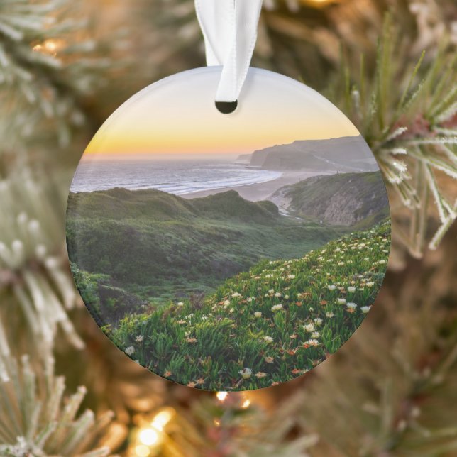 Fleurs | Père Noël Cruz Californie (Arbre)