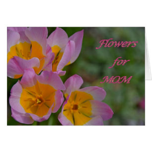 Fleurs pour maman