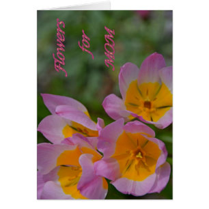 Fleurs pour maman