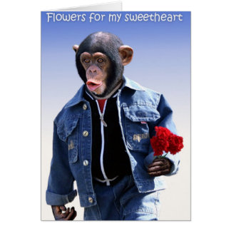 Fleurs Pour Mon Amour