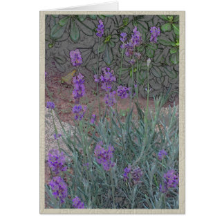 Fleurs pourpres dans un jardin d'été