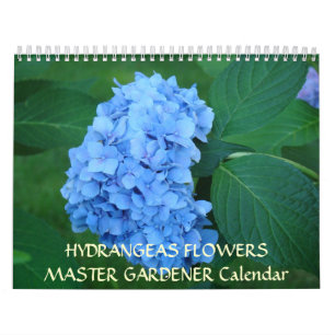 Fleurs PRINCIPALES d'hortensias de calendrier de