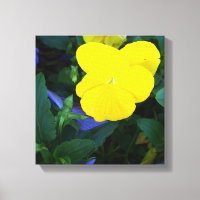 Fleurs printanières de Pansy Jaune Art de toile Fl
