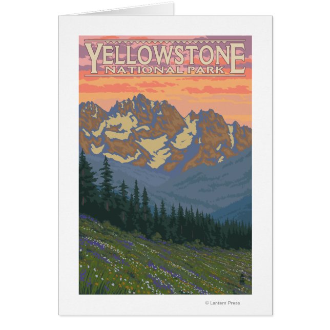 Fleurs printanières - Parc national de Yellowstone (Devant)