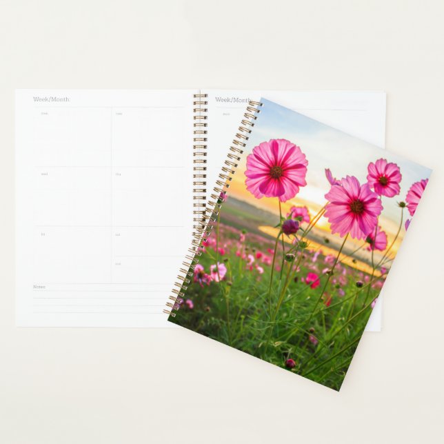 Fleurs |Province de Chiang Rai, Thaïlande (Devant avec enveloppe)