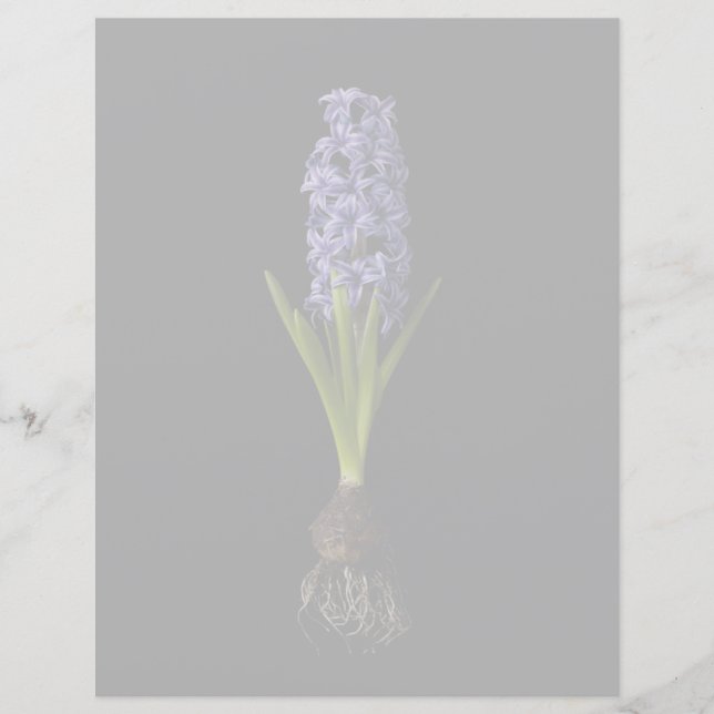 Fleurs | Puce Hyacinth violette (Devant)
