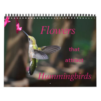 Fleurs qui attirent calendrier des colibris