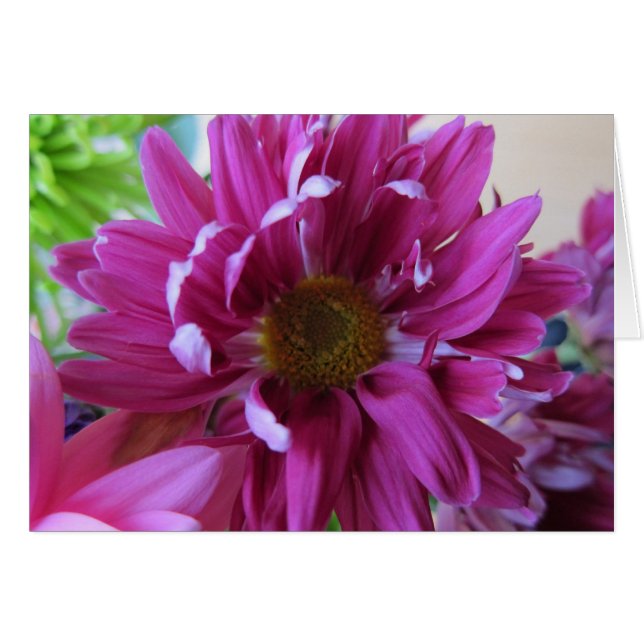 Fleurs roses (Devant horizontal)