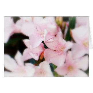 Fleurs roses