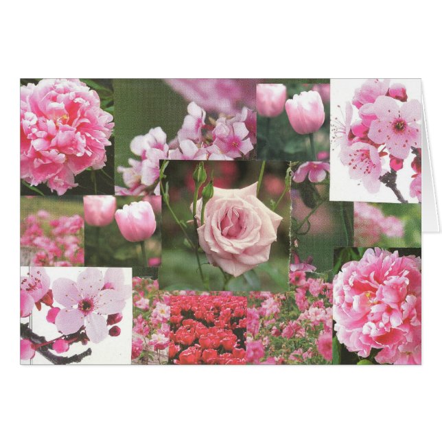 Fleurs roses (Devant horizontal)