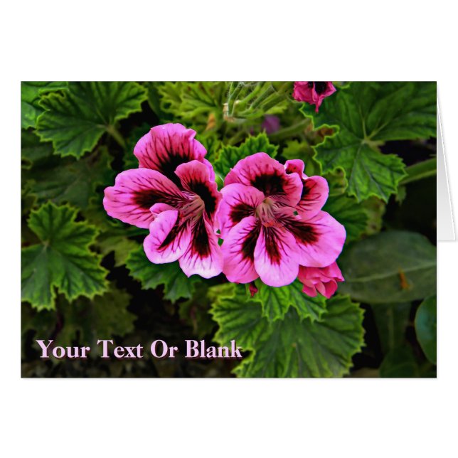 Fleurs roses 1 (Devant horizontal)