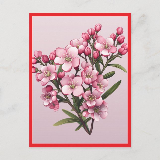 FLEURS ROSES #2 Carte postale (Devant)